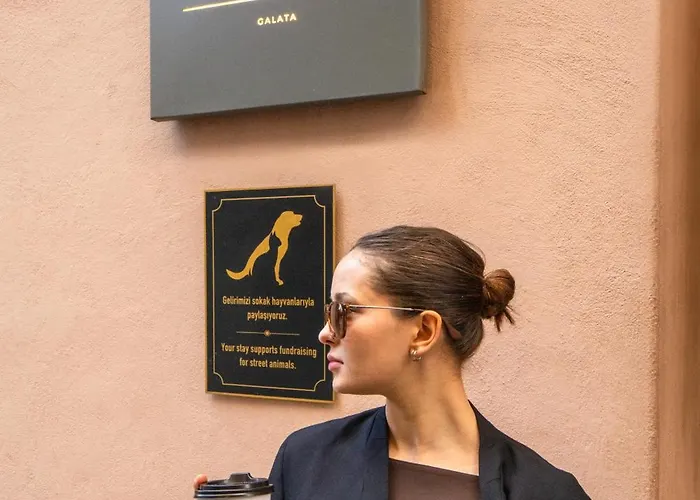 Hotel Des Arts Galata Istanbul